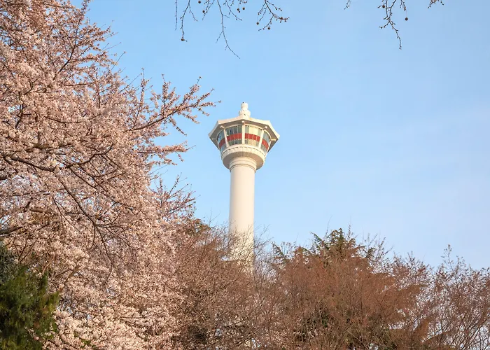 솔라리아 니시테츠 부산 부산광역시